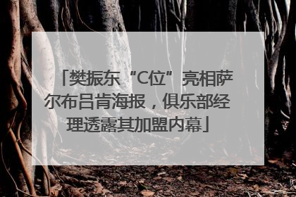 樊振东“C位”亮相萨尔布吕肯海报，俱乐部经理透露其加盟内幕